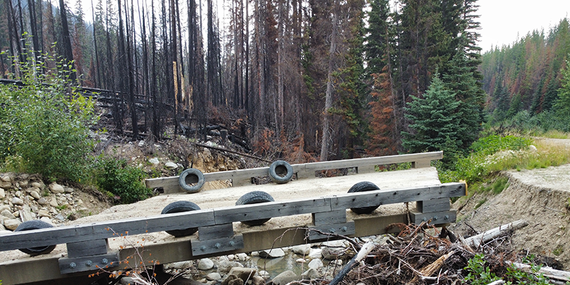 Example of Wildfire suppression rehabilitation