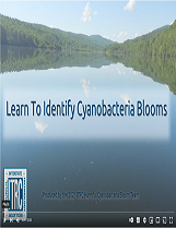 Learn to Identify Cyanobacteria Blooms