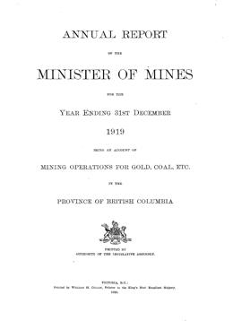 Annual Report 1919