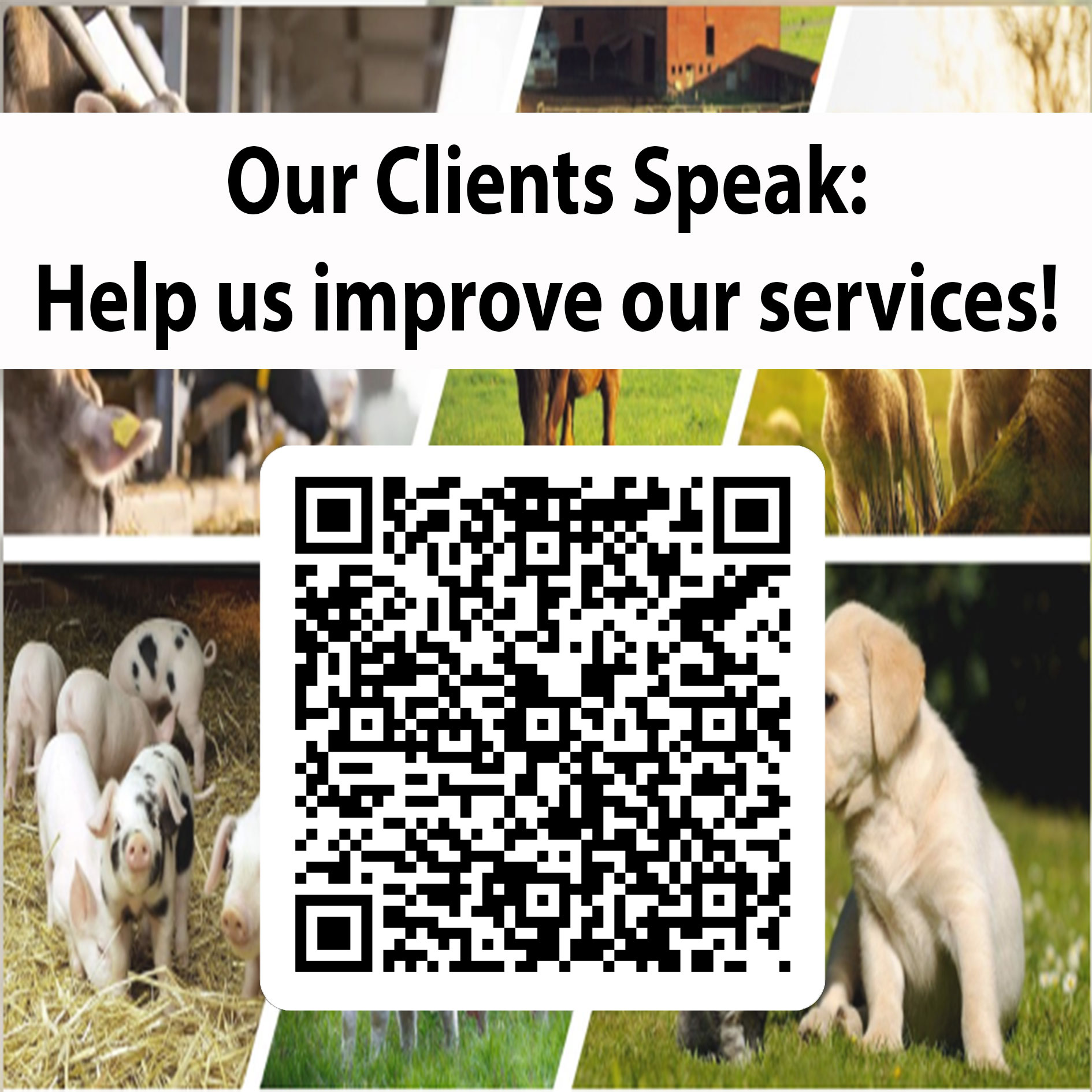 Help us improve our services. Link and QR code to survey