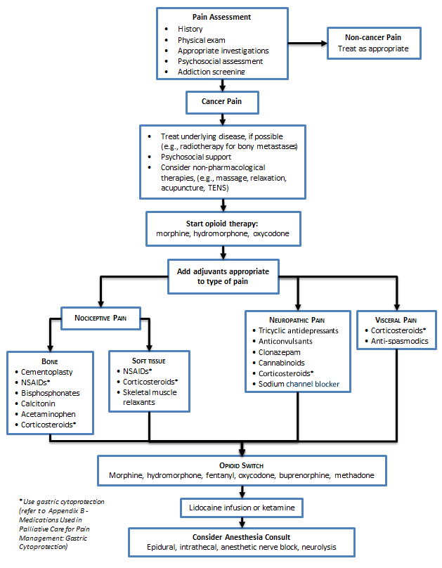Palliative Care for the Patient with Incurable Cancer or Advanced