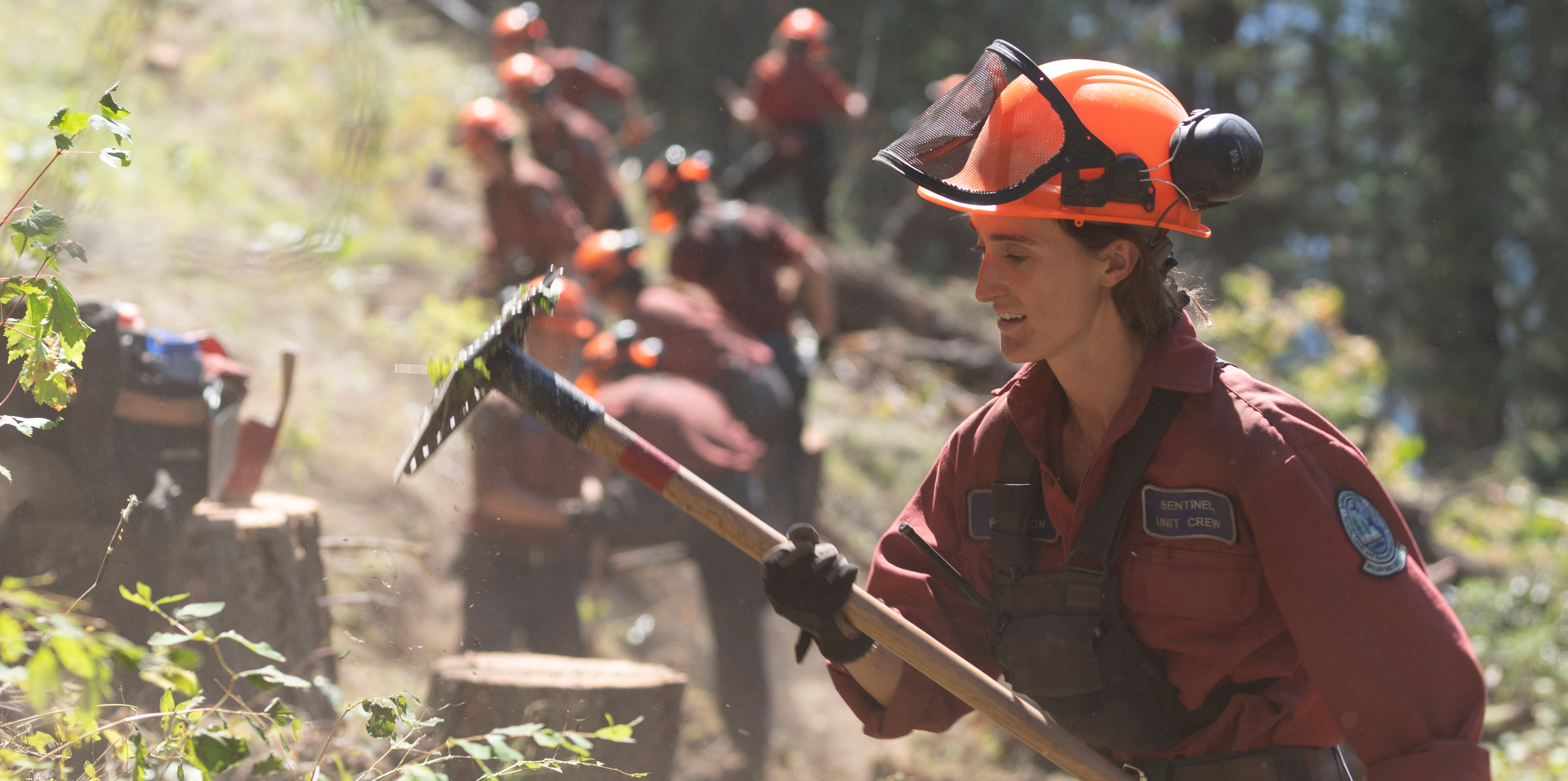 bc wildfire service unit crews firefighters