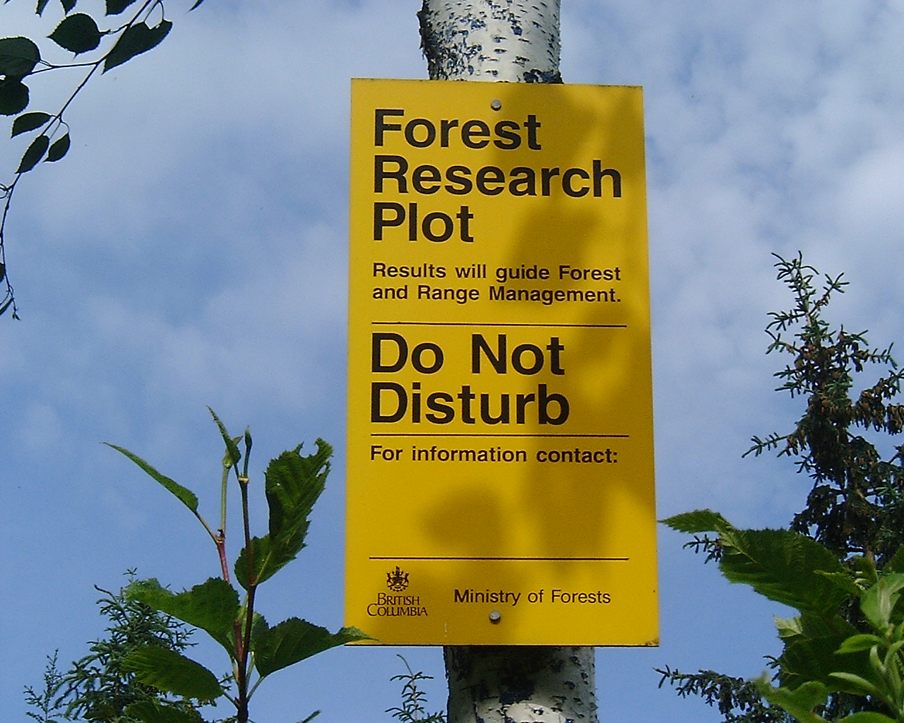 Forest genetics trial sign