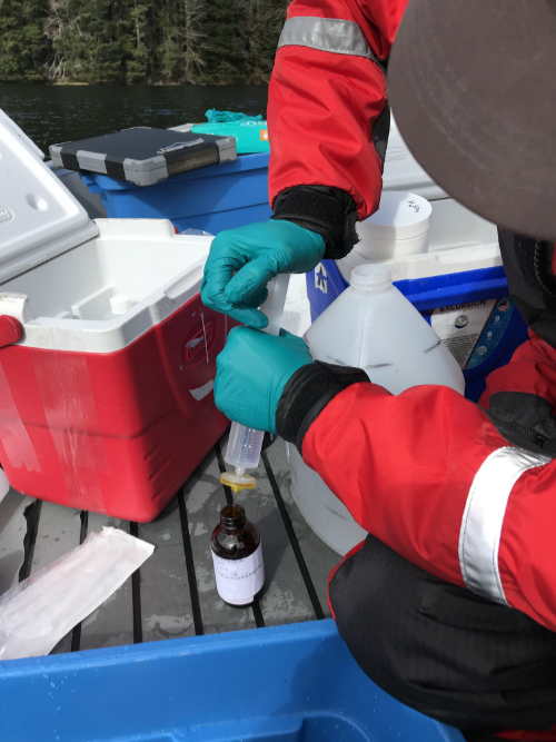 Ministry staff filtering water samples