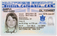 Sample of Drivers Licence