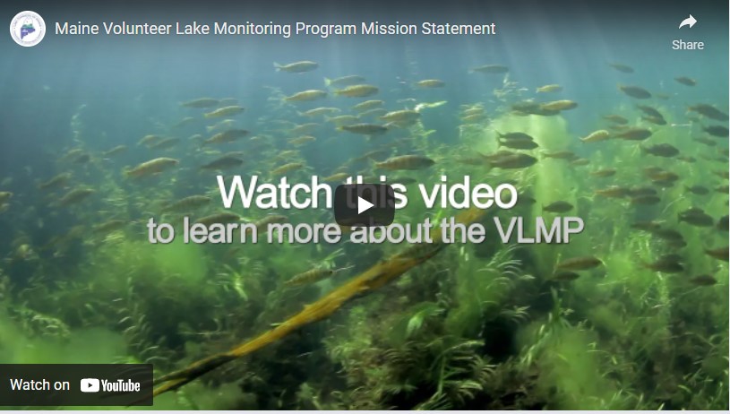 Screenshot of the Maine Volunteer Lake Monitoring Program Youtube video
