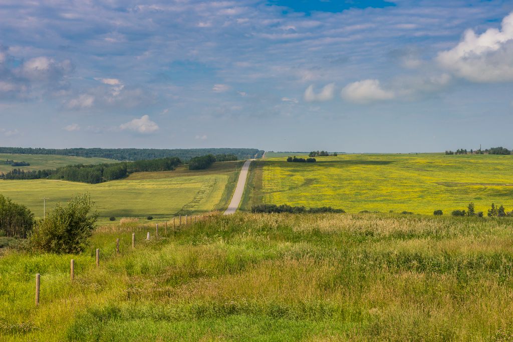 Image of a field and a blue sky.