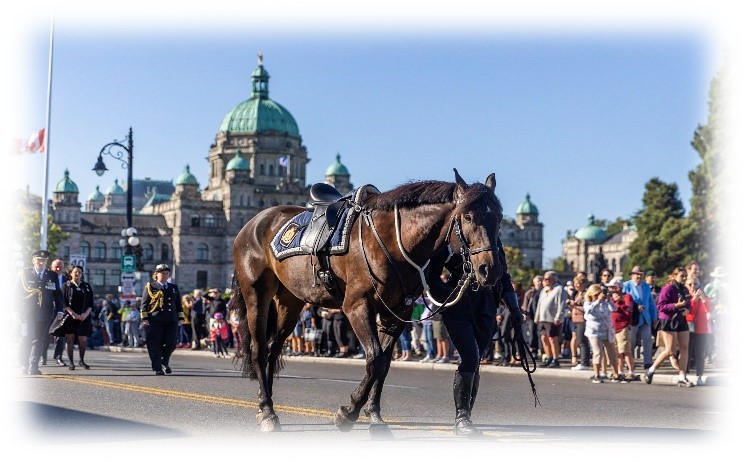 Ceremonial procession with riderless horse being walked in front of B.C. Legislature