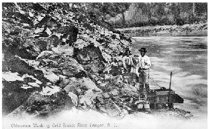 Chinese miners panning for gold