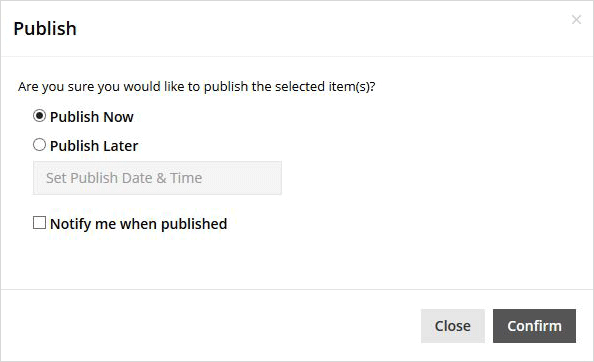 Publish box with the Publish Now option selected
