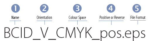 Illustration of File Naming Convention