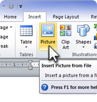 Insert Picture into Microsoft software