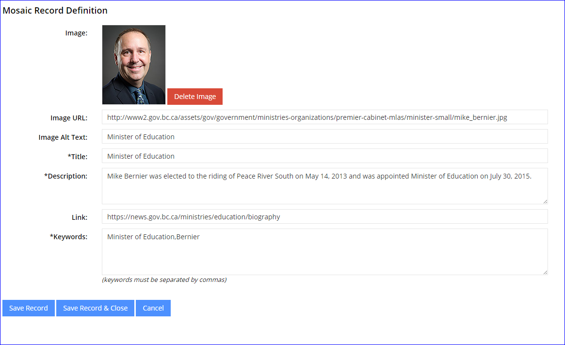 Mosaic Module Definition