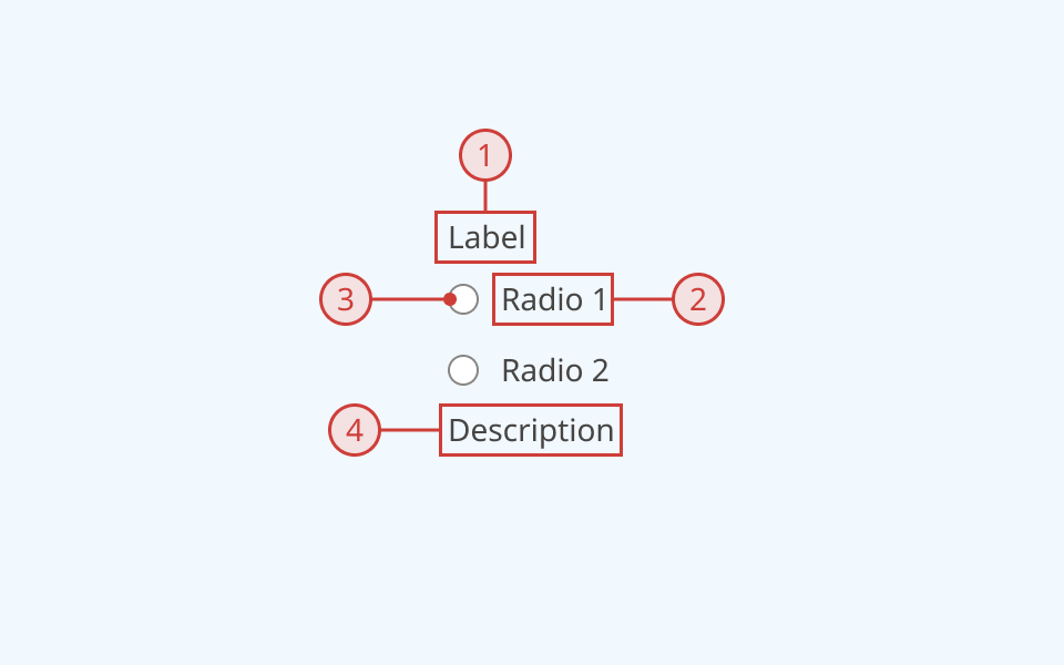 An annotated diagram of the radio group component