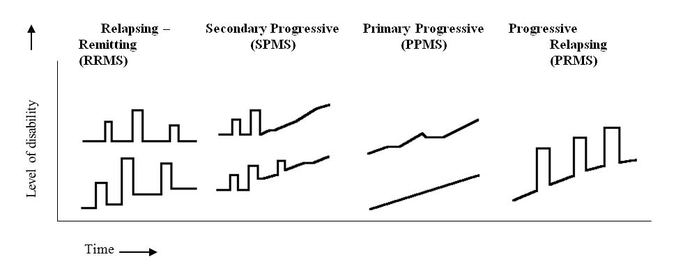 ms chart