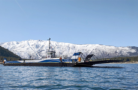 Arrow Park Cable Ferry