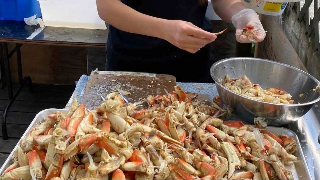 A large tray filled with crab and a person with gloved hands removing the shell