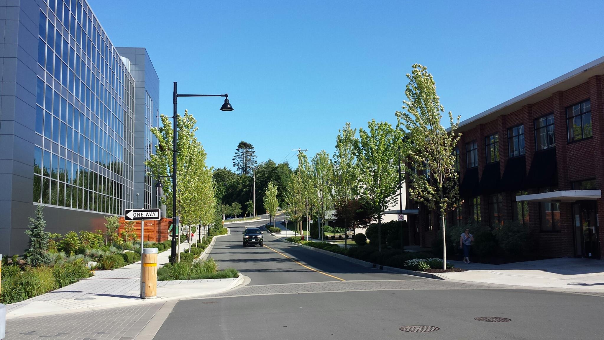 Alder street looking at St. Annes in Campbell River B.C. 