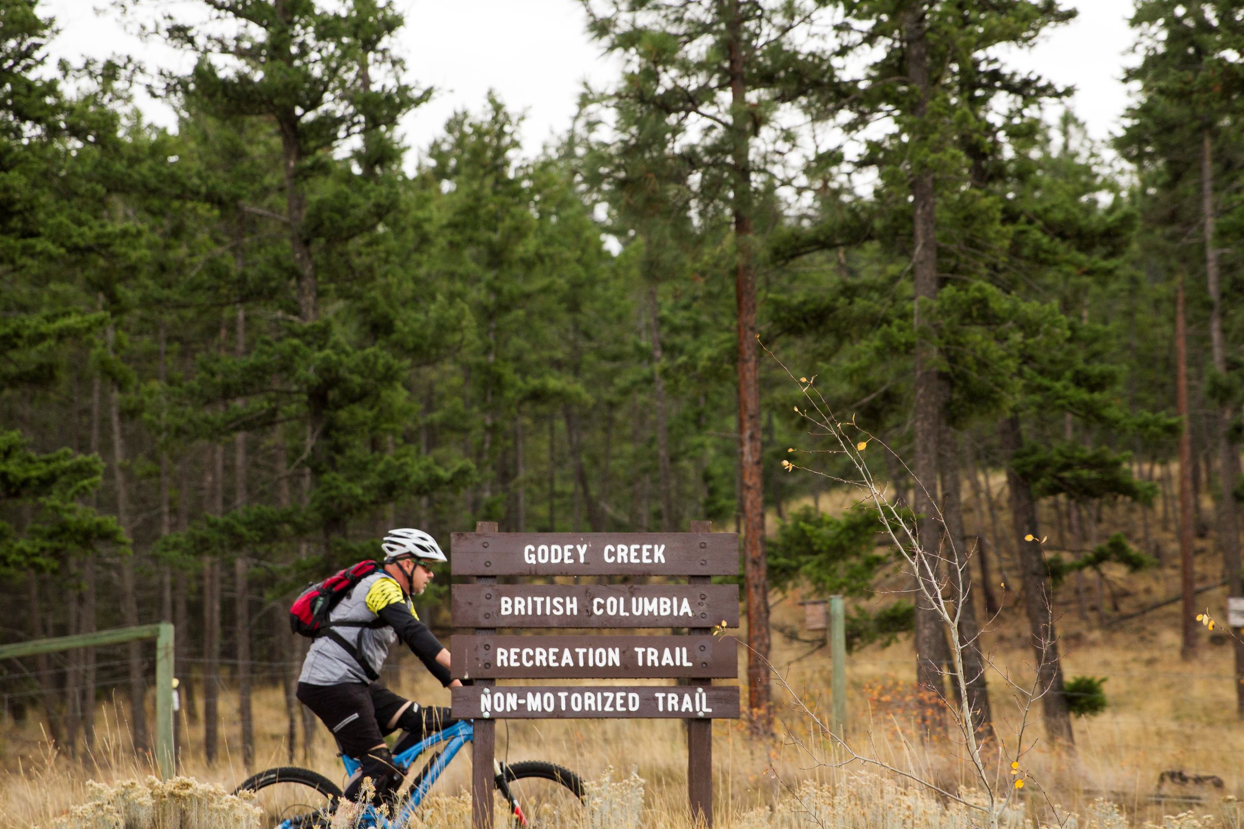 Cyclist riding along woodland trails