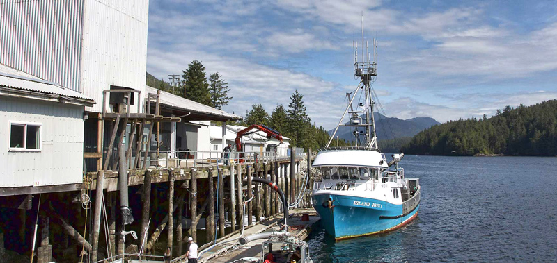 A small fishing boat, The Island Joye 1, docked at Kitasoo Seafoods