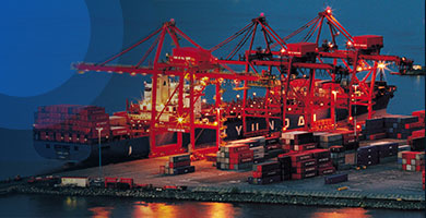 Diversifying markets and growing targeted sectors