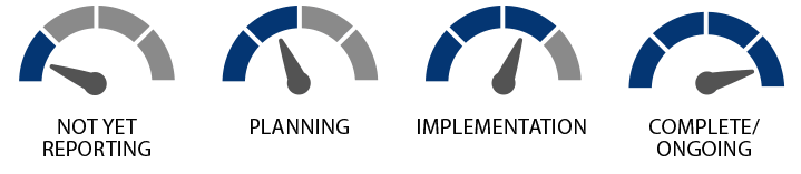 4 icons representing the stages of project progress: Not yet reporting, planning, implementation, and complete/ongoing