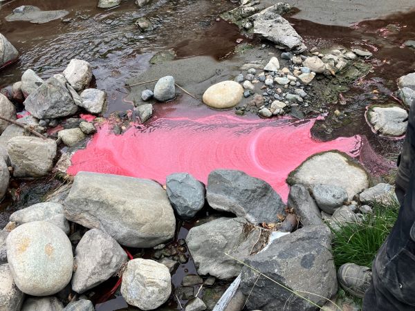 Unknown pink liquid flowing through Guerin Creek in Kamloops, BC