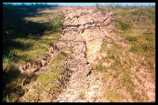 Photo of highly eroded material on dam 