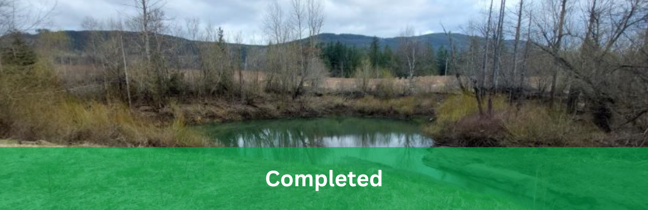 Image from Blue Creek