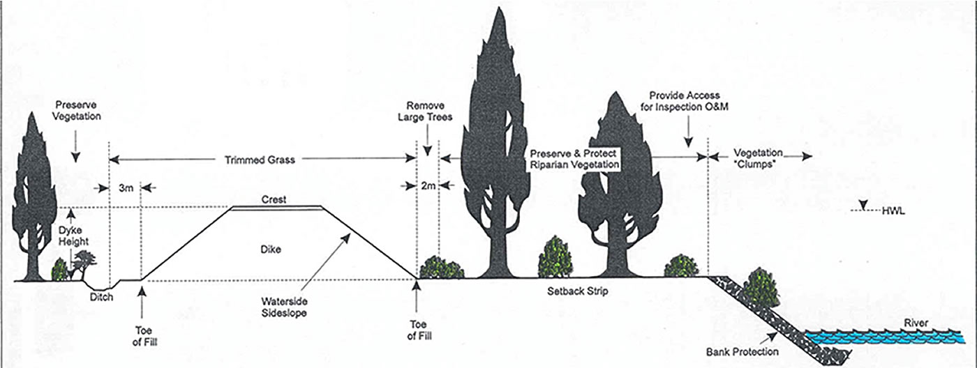 Vegetation management for a set-back dike - Click to zoom