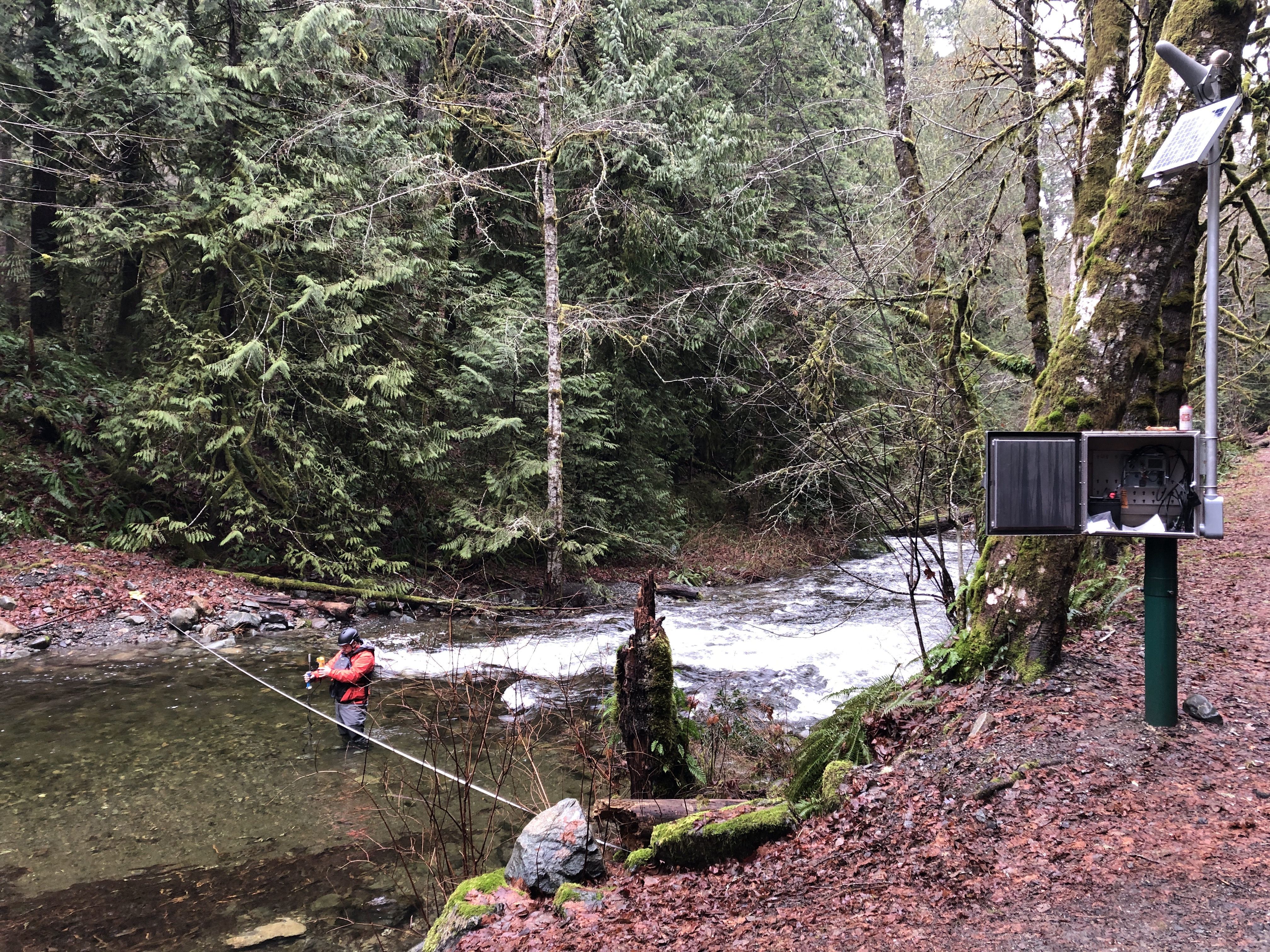 hydrometric technician measuring discharge by wading at gauging station