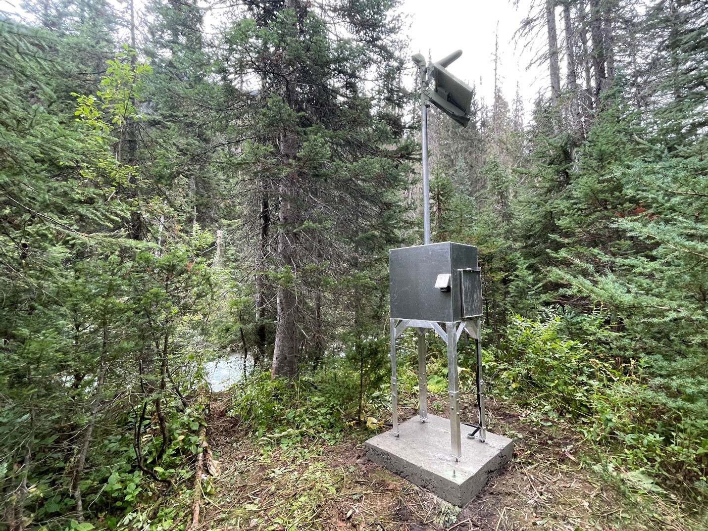 Hydrometric gauging station