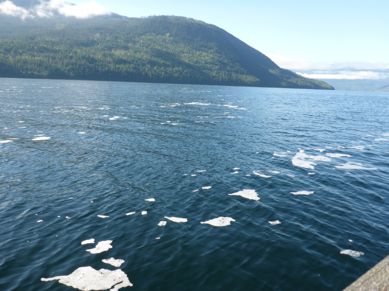 Foam on Adams Lake (2019-09-05)