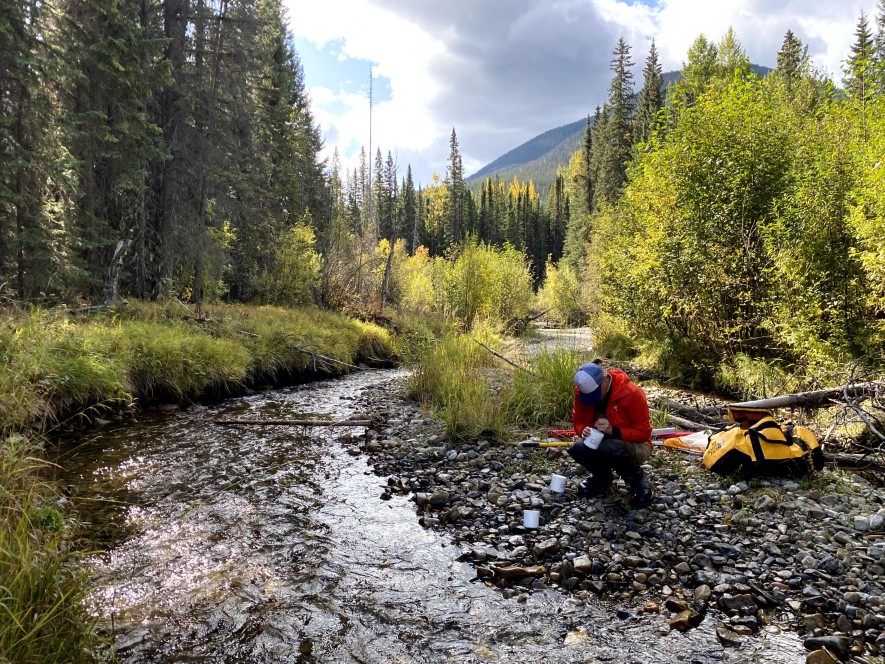 Collecting a CABIN sample in a stream