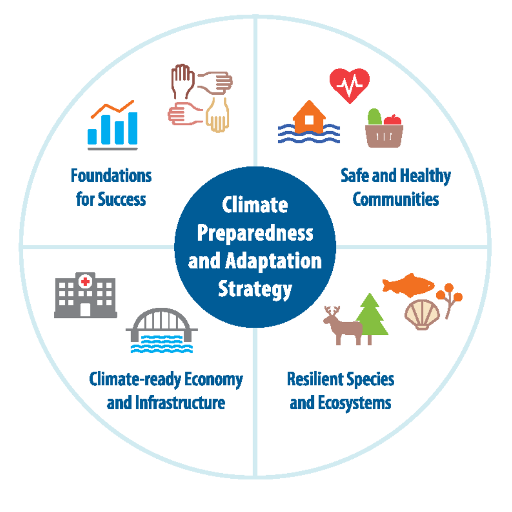 Graphic illustrating the four CPAS pathways.