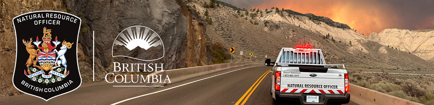 banner image of a truck