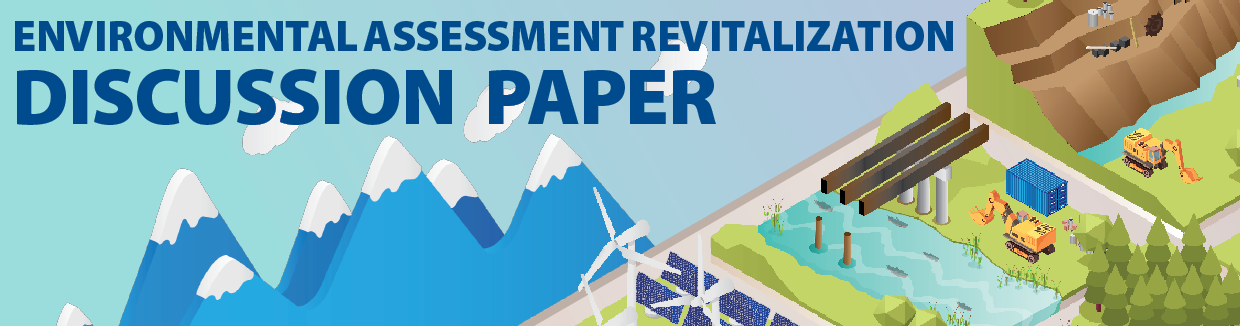 A narrow banner of the discussion paper cover image A narrow banner of the discussion paper cover image