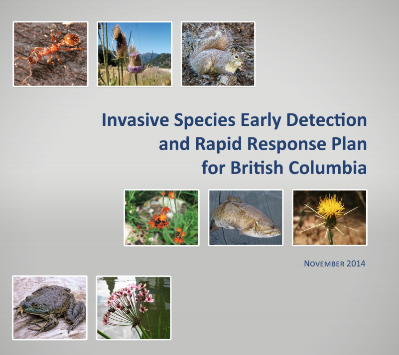 Invasive species early detection and rapid response (EDRR) - Province of  British Columbia