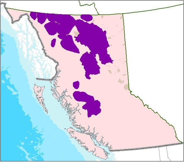 Northern Mountain Caribou habitat map