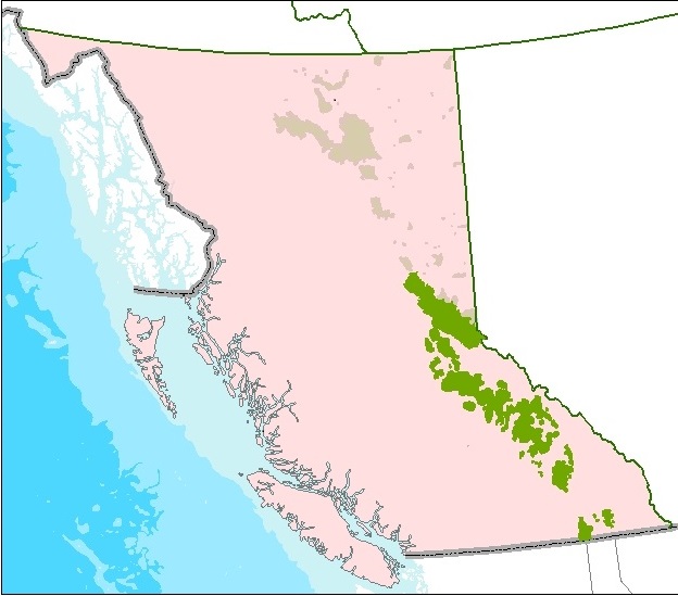 Southern Mountain Caribou habitat map
