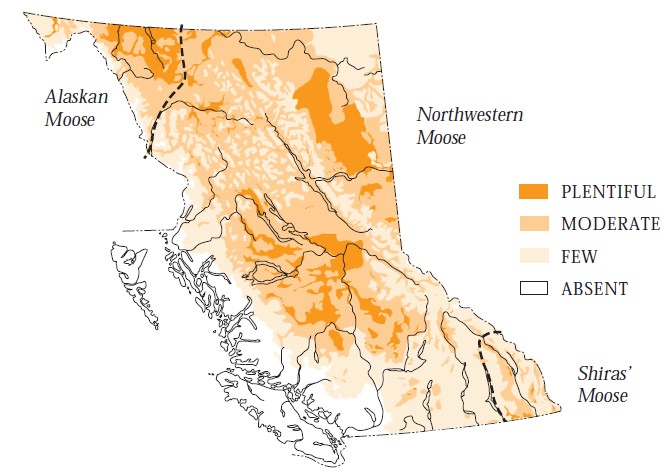 Average cost of a Moose hunt | Page 4 | Rokslide Forum