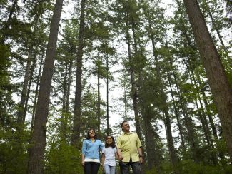 Family enjoying a walk in the forest.