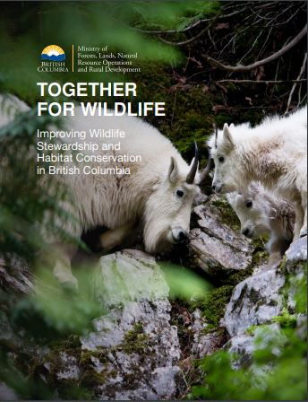 Together for Wildlife strategy cover thumbnail.