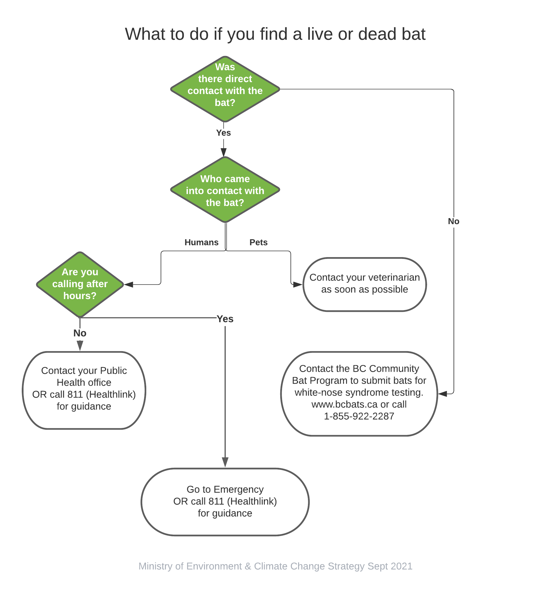 Flowchart click to expand