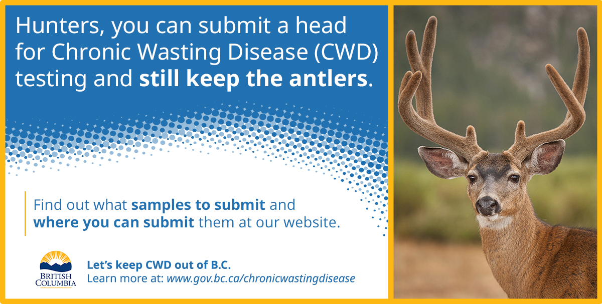 Hunters, you can submit a head for Chronic Wasting Disease (CWD) testing and still keep the antlers. Find out what samples to submit and where can you submit them at our website.