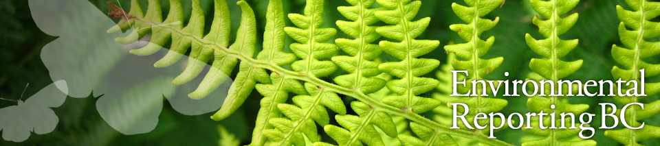 Image of a fern with Environmental Reporting BC wordmark