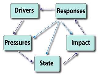 Flow chart depicting the DPSIR and PSR indicator reporting frameworks