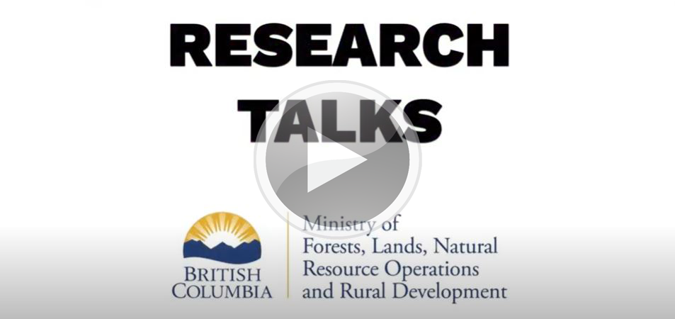 Click here to watch the research talks YouTube series