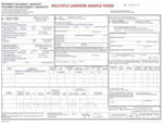 Multiple Carriers Sample Form