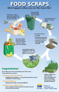 Image of a Food Scraps Poster - what happens when you use the Green Bin.